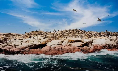 Islas Ballestas