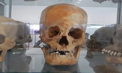 Museo Histórico Julio Navarro Hierro