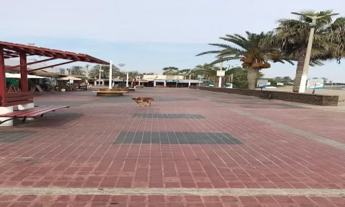 Playa El Chaco – Malecón de Paracas